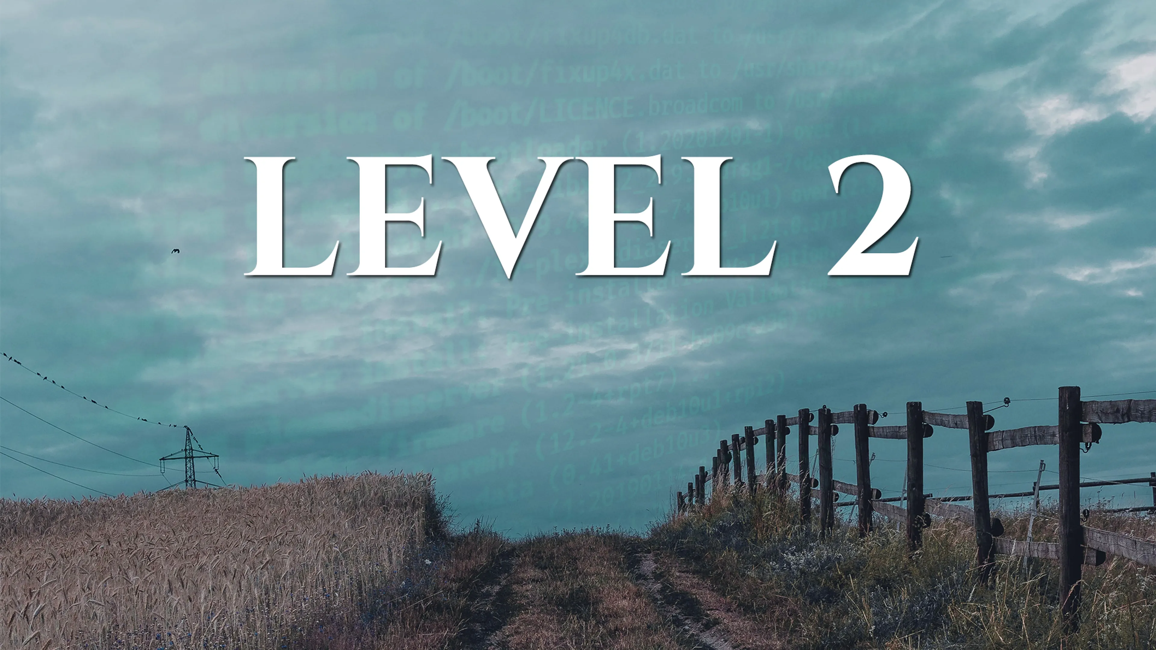 Level 2 poster